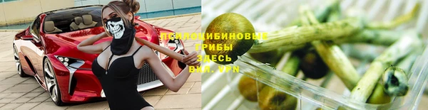меф Богородицк