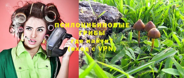 меф Богородицк