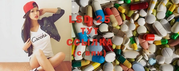 хмурый Новозыбков