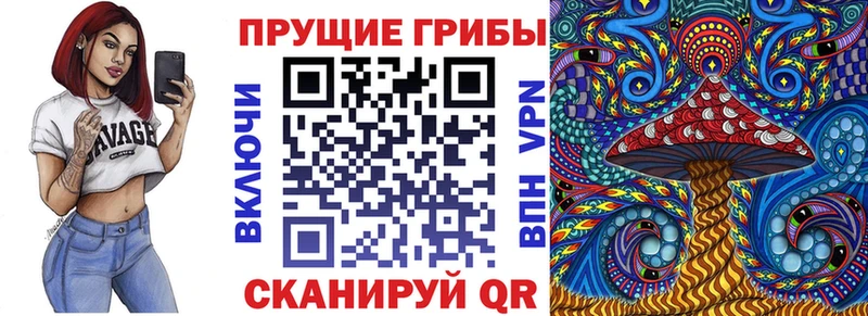 Галлюциногенные грибы MAGIC MUSHROOMS  дарнет шоп  Мещовск 